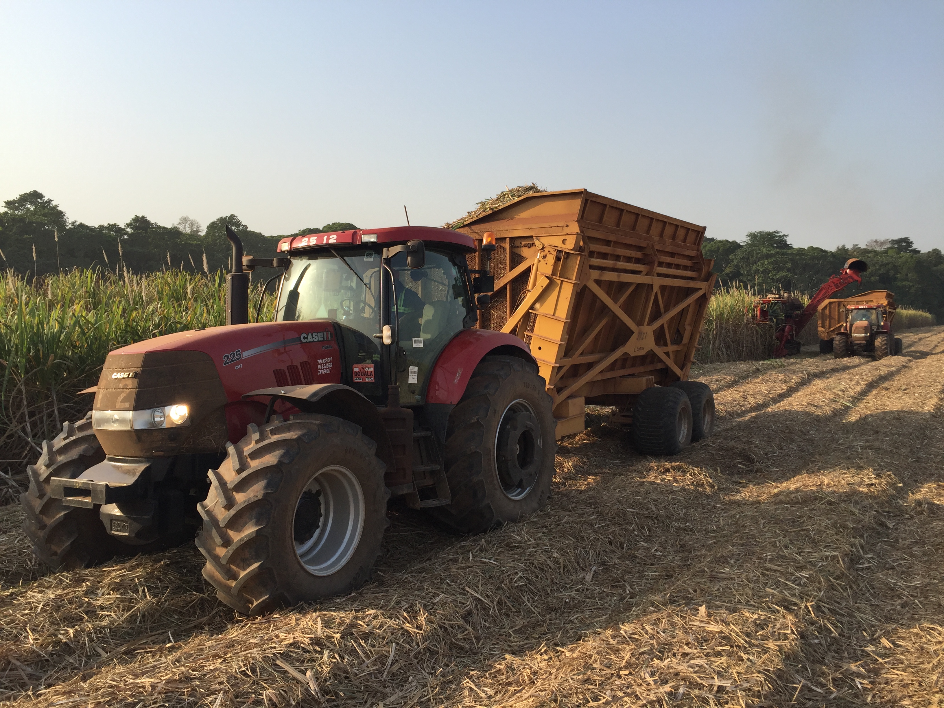 DRIVING AFRICAS GROWTH: SOMDIAA CHOOSES CASE IH FOR ITS CAMEROON SUGAR CANE PLANTATIONS