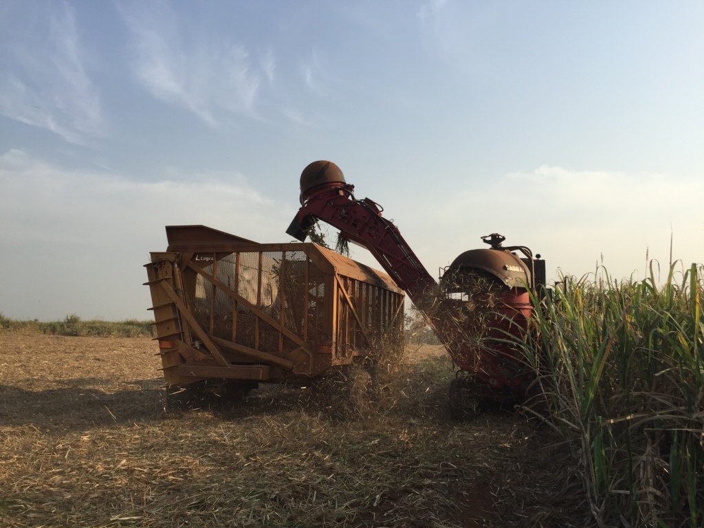 DRIVING AFRICAS GROWTH: SOMDIAA CHOOSES CASE IH FOR ITS CAMEROON SUGAR CANE PLANTATIONS