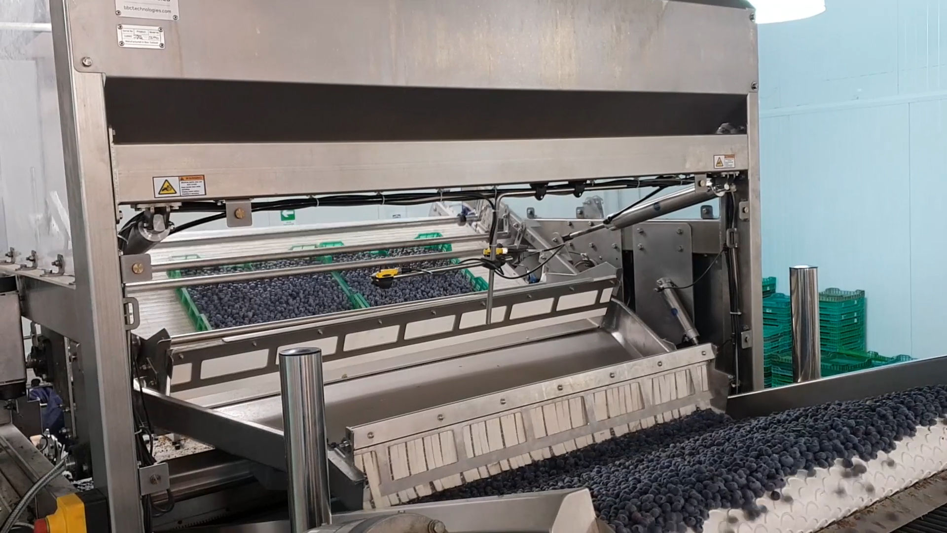 NEW TRAY TIPPER AUTOMATES FRUIT DELIVERY INTO KATO260 BLUEBERRY SORTER