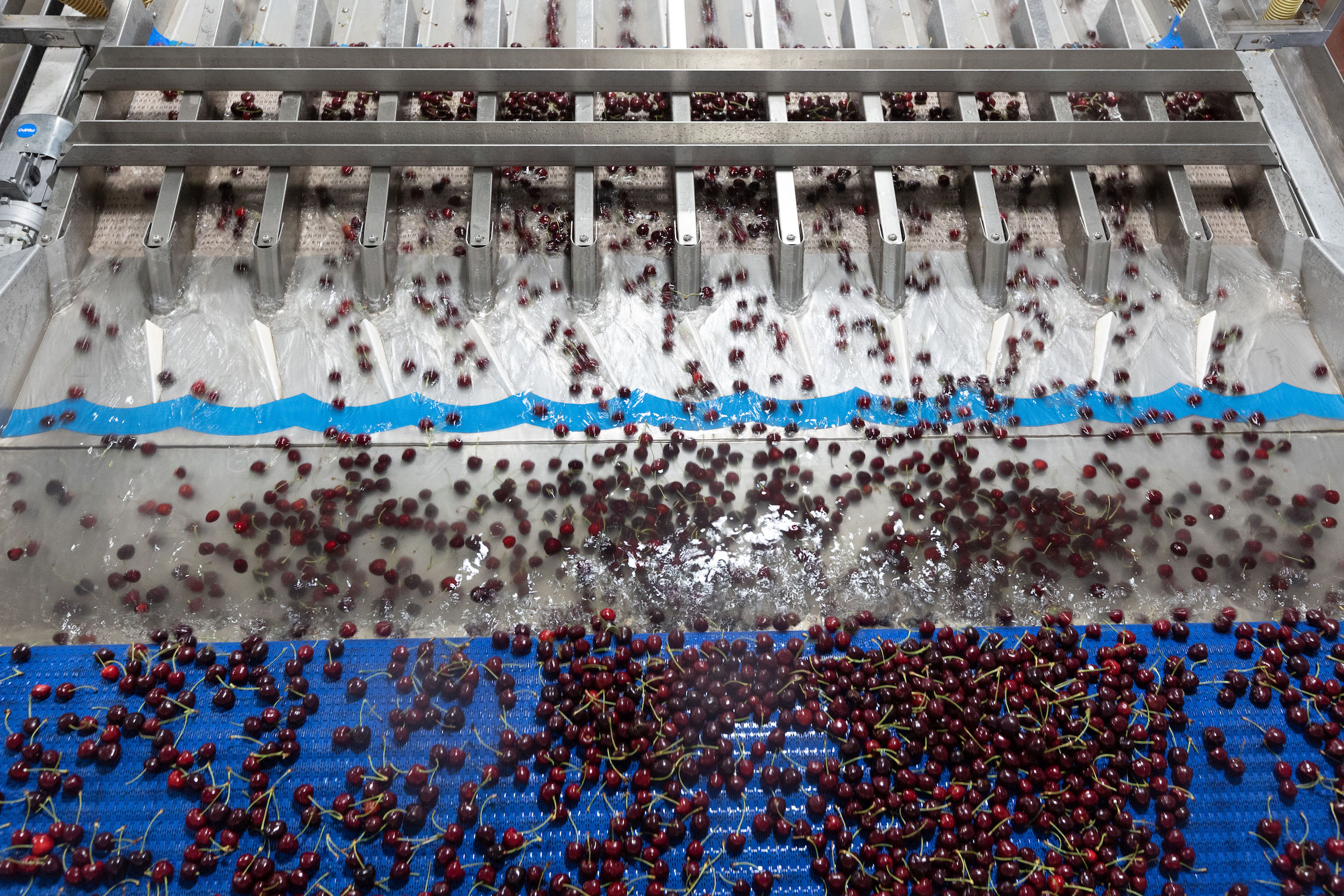Giacovelli goes for cutting-edge electronics from TOMRA Food and Icoel for its premium cherries
