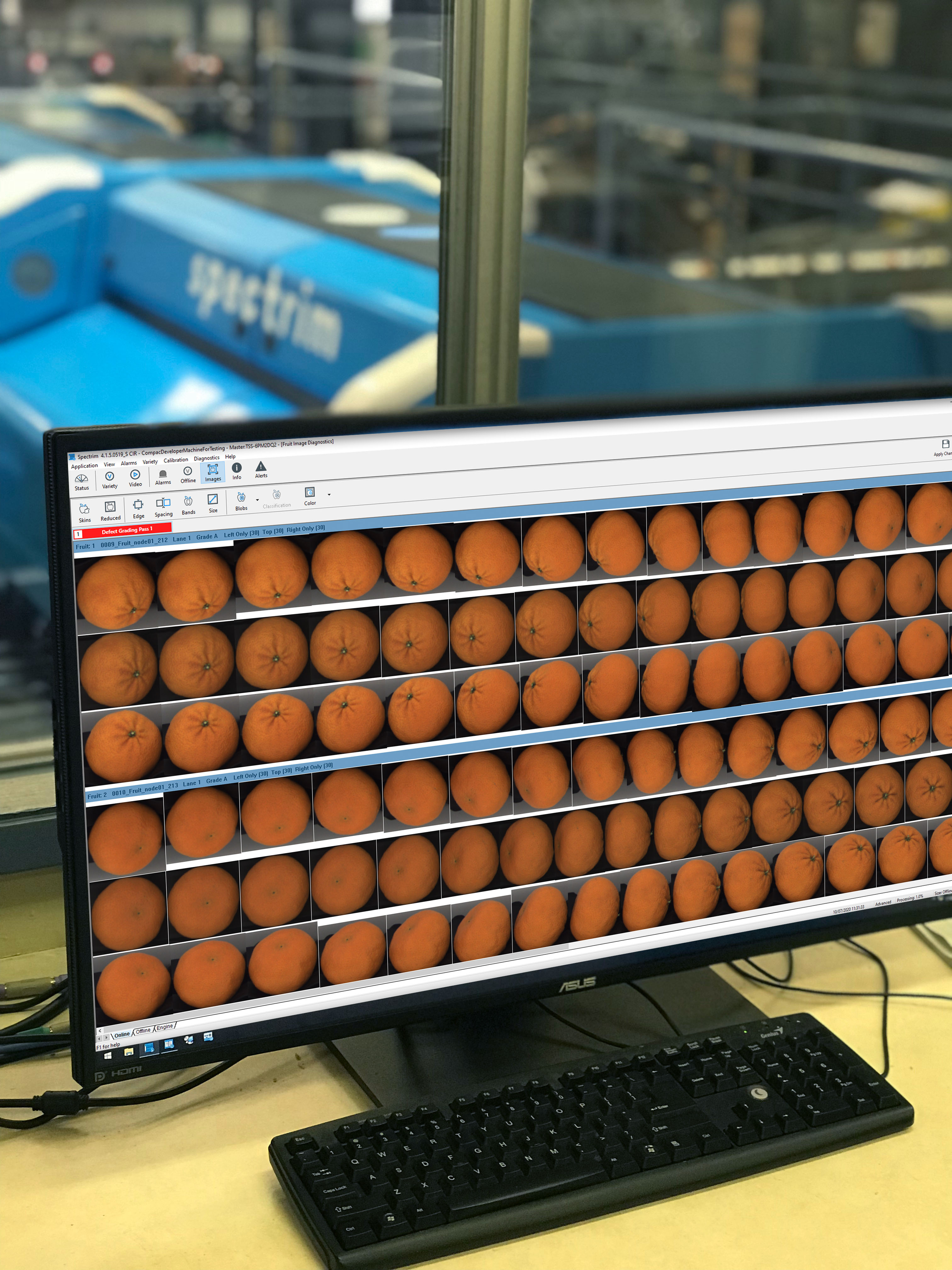HOW FOOD PROCESSORS AND PACKHOUSES ARE IMPROVING EFFICIENCIES WITH NEW TOMRA SOLUTIONS POWERED BY ARTIFICIAL INTELLIGENCE