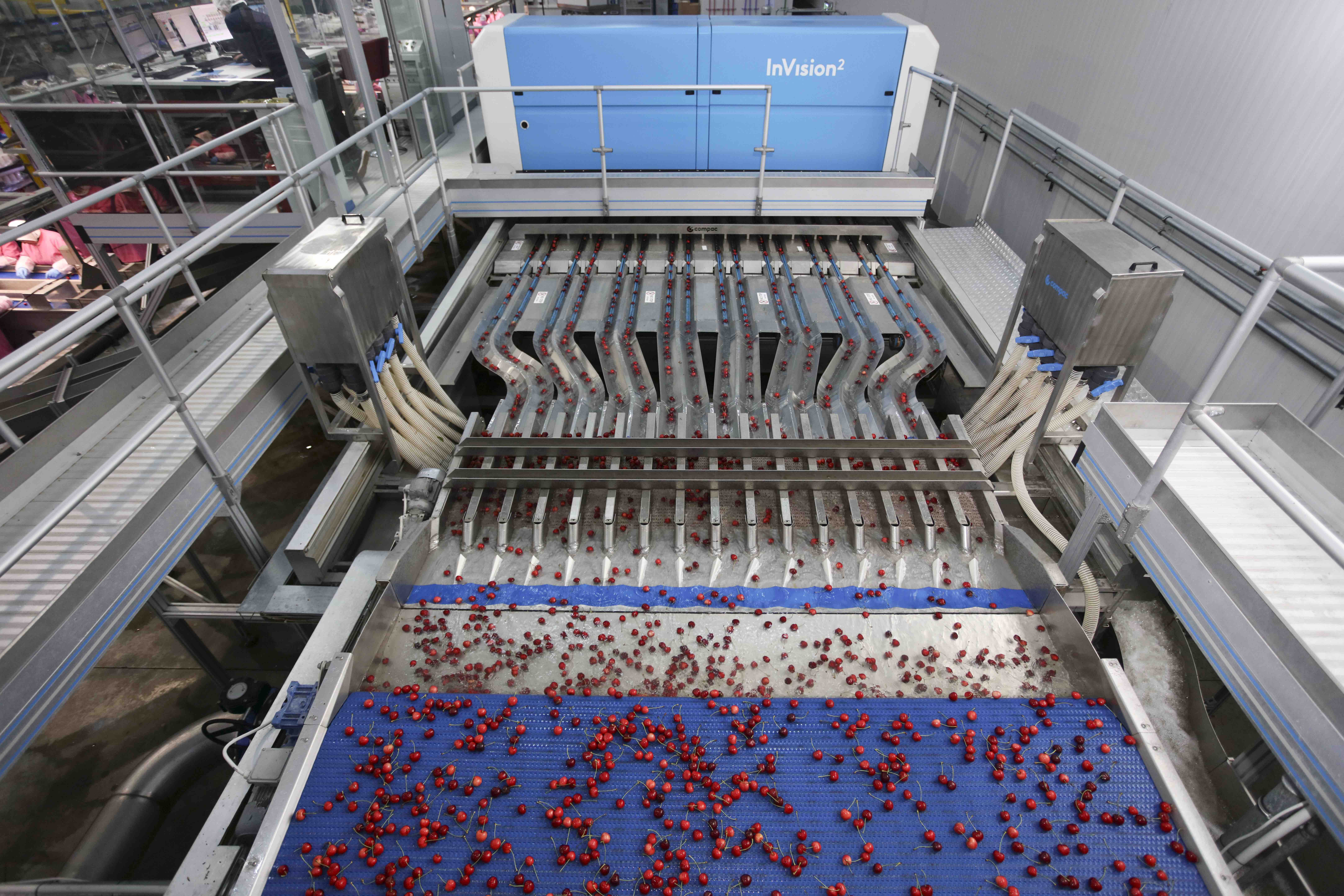 PERLA FRUIT SET TO BECOME TURKIYE’S LEADING CHERRY EXPORTER USING TOMRA FOOD SORTING AND GRADING SOLUTIONS