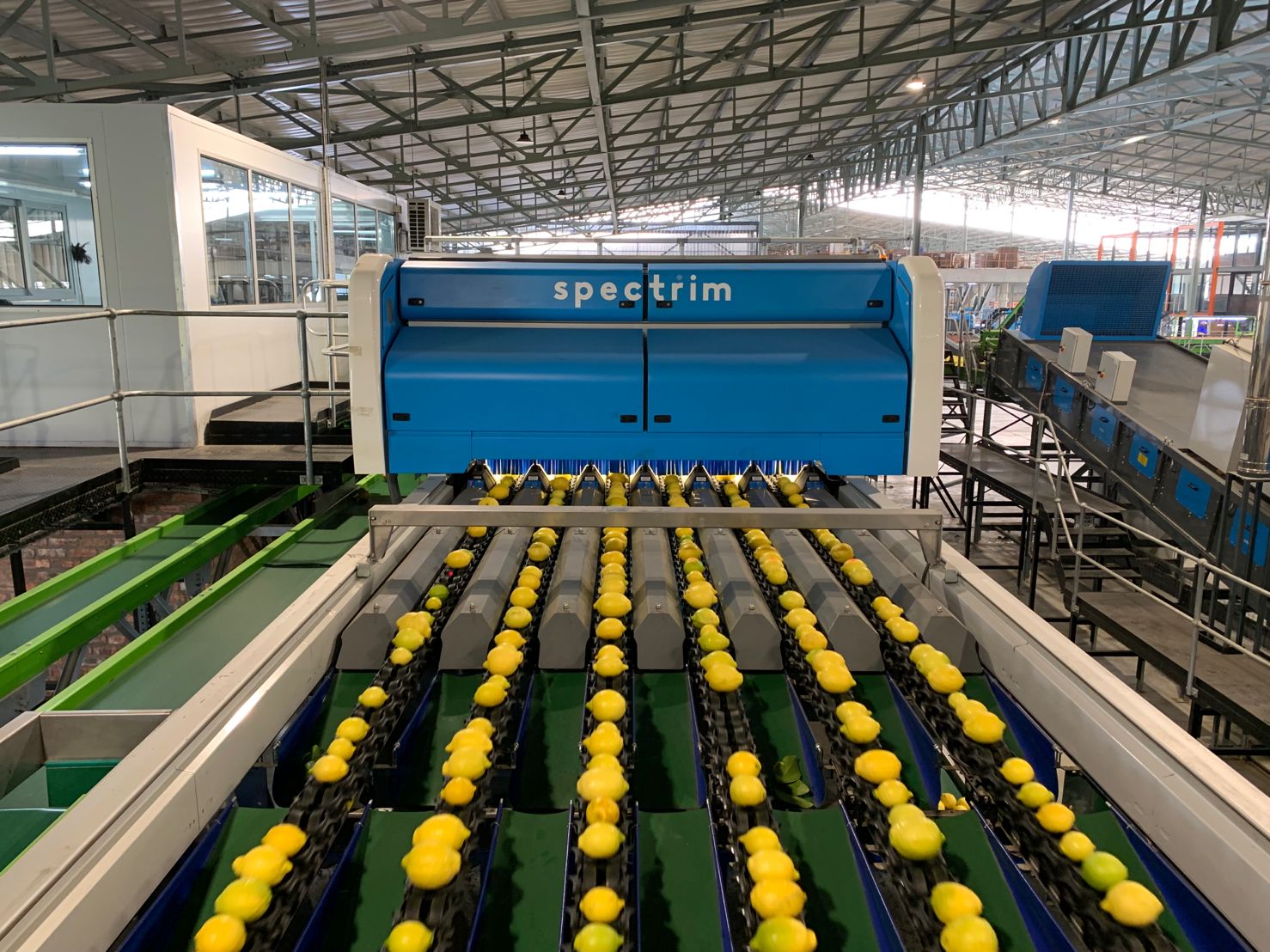 CITRUS LEADER SITRUSRAND EXPANDS ITS CAPACITY AND OPENS UP NEW SELLING OPPORTUNITIES WITH TOMRA’S SPECTRIM AND INPECTRA² PLATFORMS